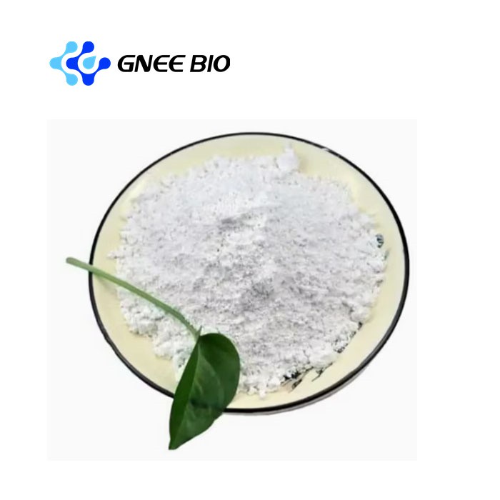GMP Maleic Acid 99% CAS 110-16-7