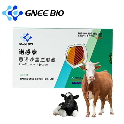 Enrofloxacin Injectable Solution For Cattle